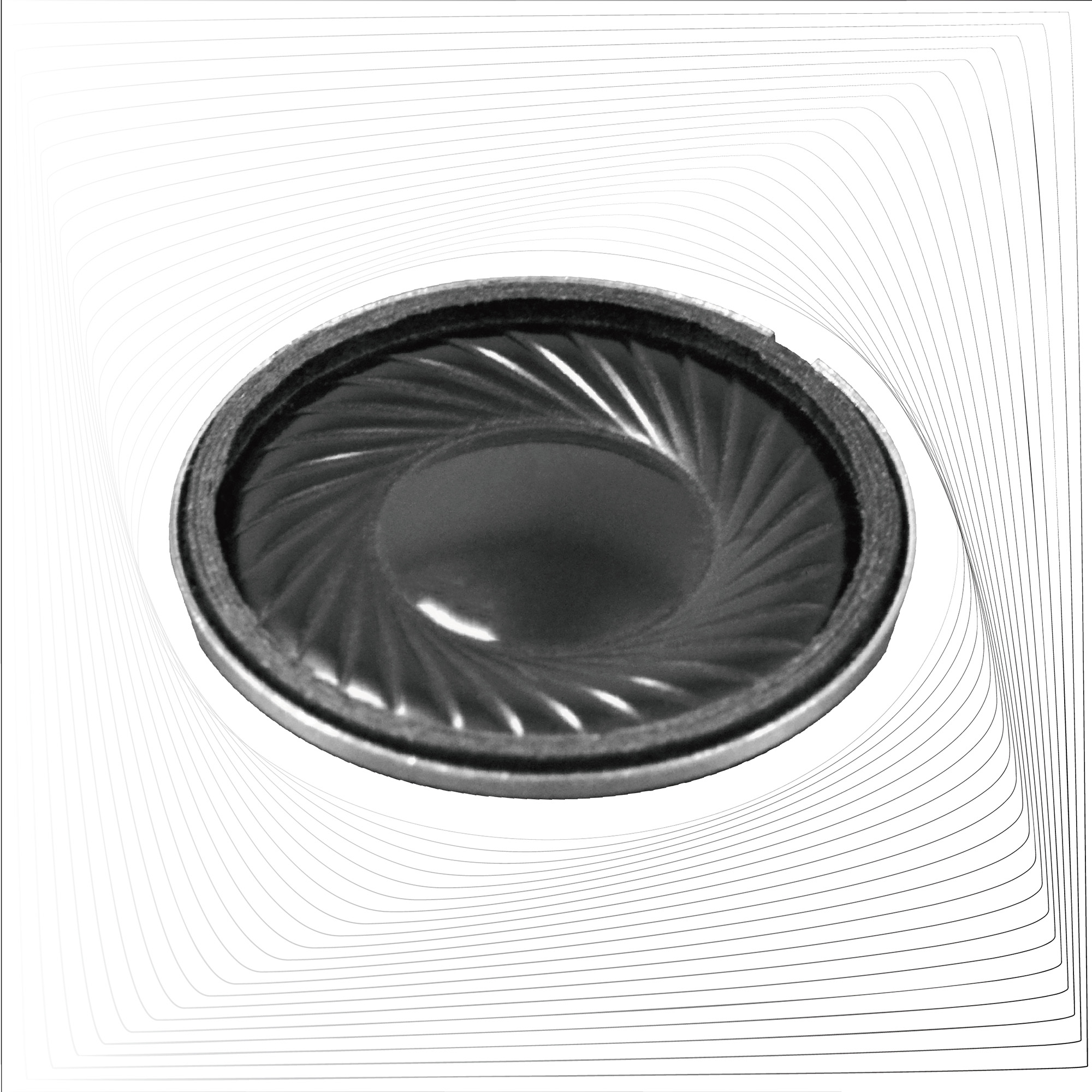 Speaker